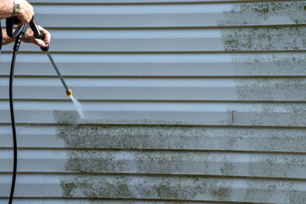 Affordable Siding Repair and Maintenance Services in Bishop, TX